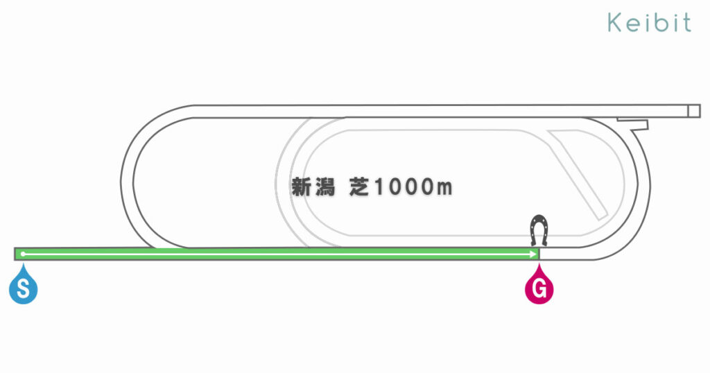 新潟芝1000ｍ　コース形態