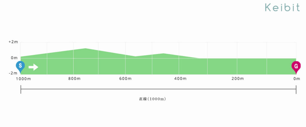 新潟芝1000ｍ　高低図