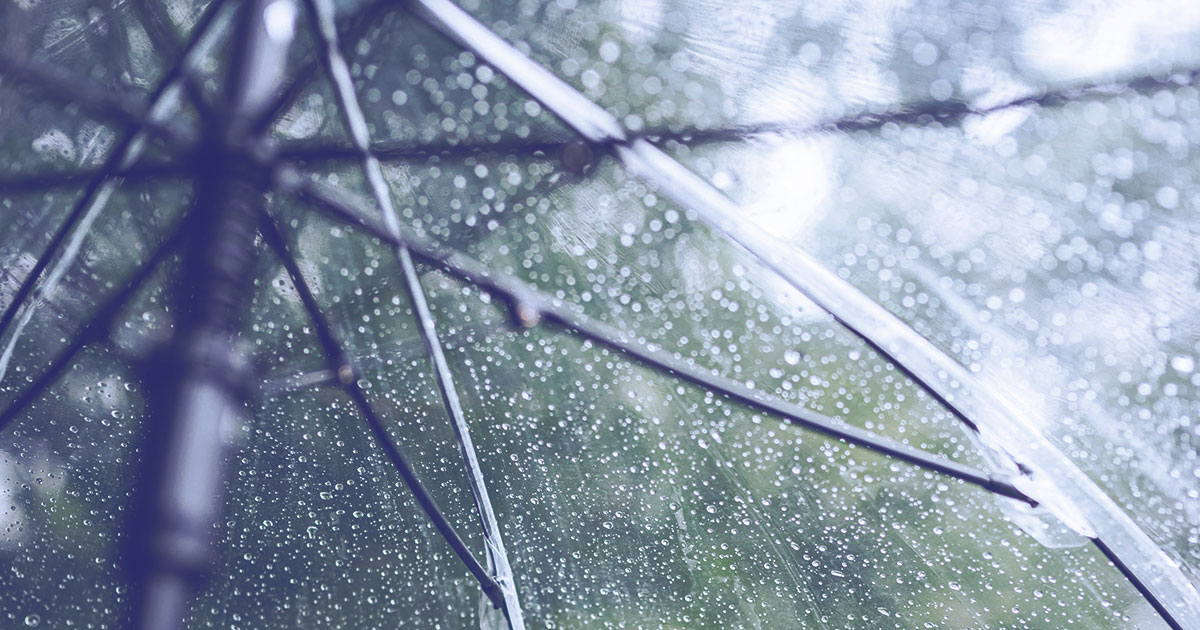 雨が芝レースに与える影響は？