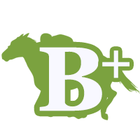 Ｂ＋評価