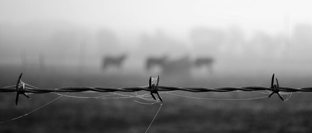 AIが苦手とする“見えない要因”とは