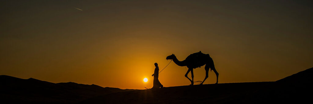 ドバイワールドカップデーの出走予定馬