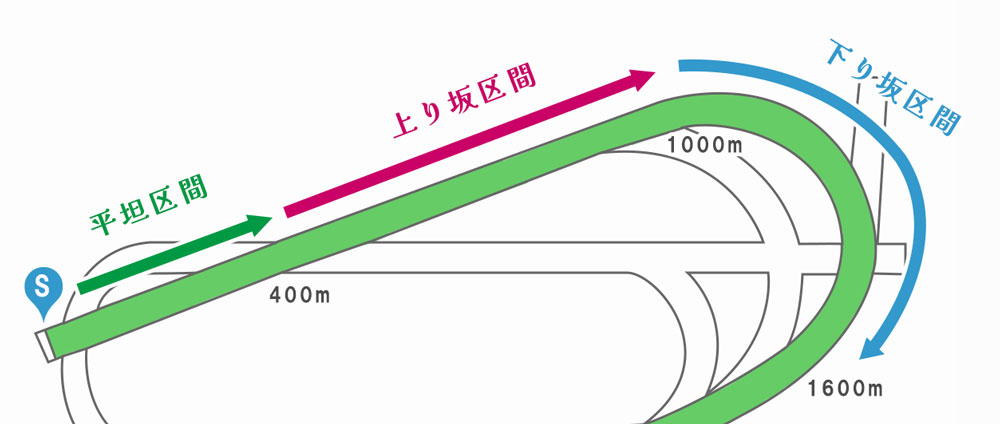 パリロンシャン競馬場・バックストレッチ